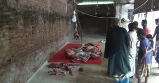 ঘোড়া জবাই করে গরুর মাংস হিসেবে বিক্রির চেষ্টা; আটক ৩ জনের এক বছর কারাদণ্ড